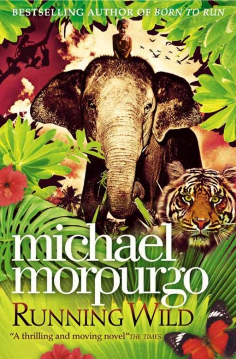 michael morpurgo books cat