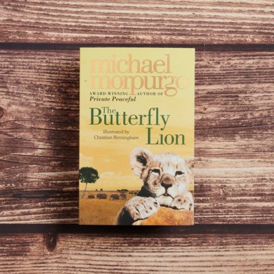 the butterfly lion blurb